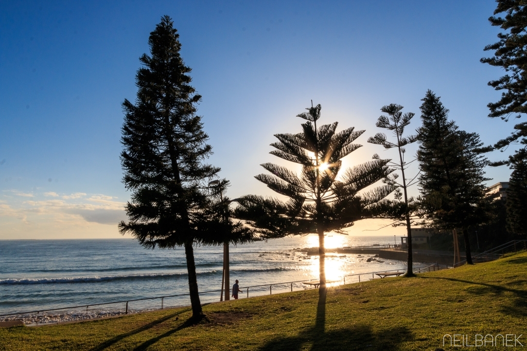 Dee Why looking sharp in the mornings