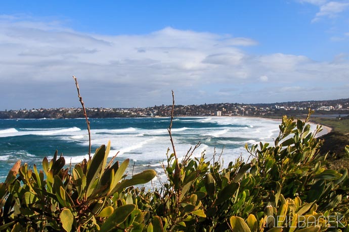 View from long reef