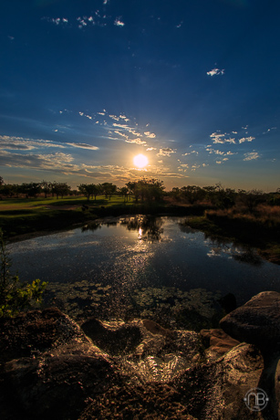 The 8th Green