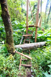 Tree Fallen - Crushing the metal walkway!