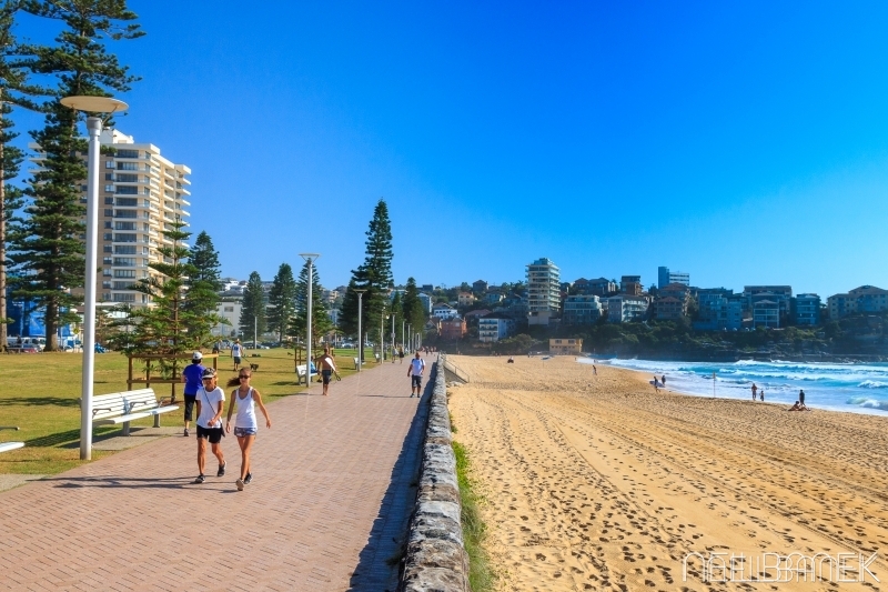 North Steyne promenade